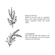 Load image into Gallery viewer, Mini Linen Spray - Eucalyptus + Lavender
